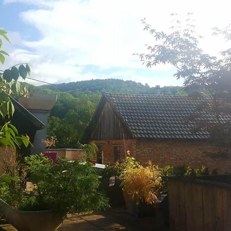 "Cote Nature", Appartement Cosy Au Coeur De Munster Munster  Exteriér fotografie