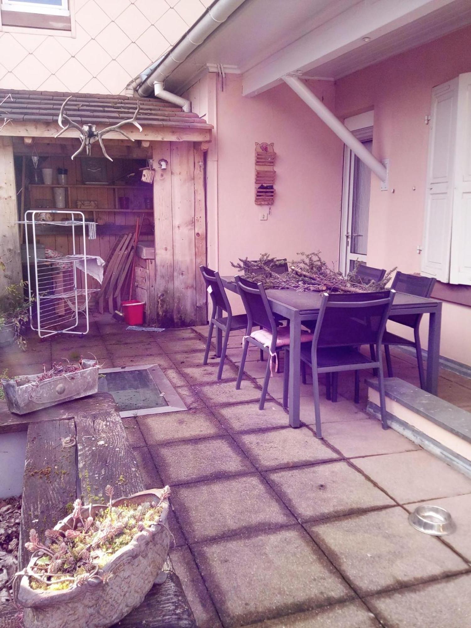 "Cote Nature", Appartement Cosy Au Coeur De Munster Munster  Exteriér fotografie