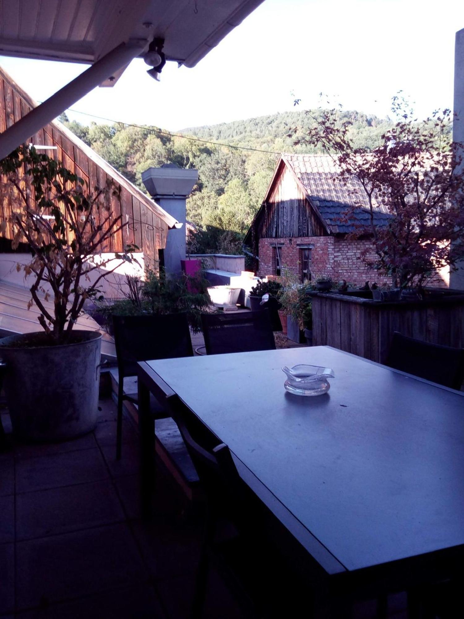 "Cote Nature", Appartement Cosy Au Coeur De Munster Munster  Exteriér fotografie