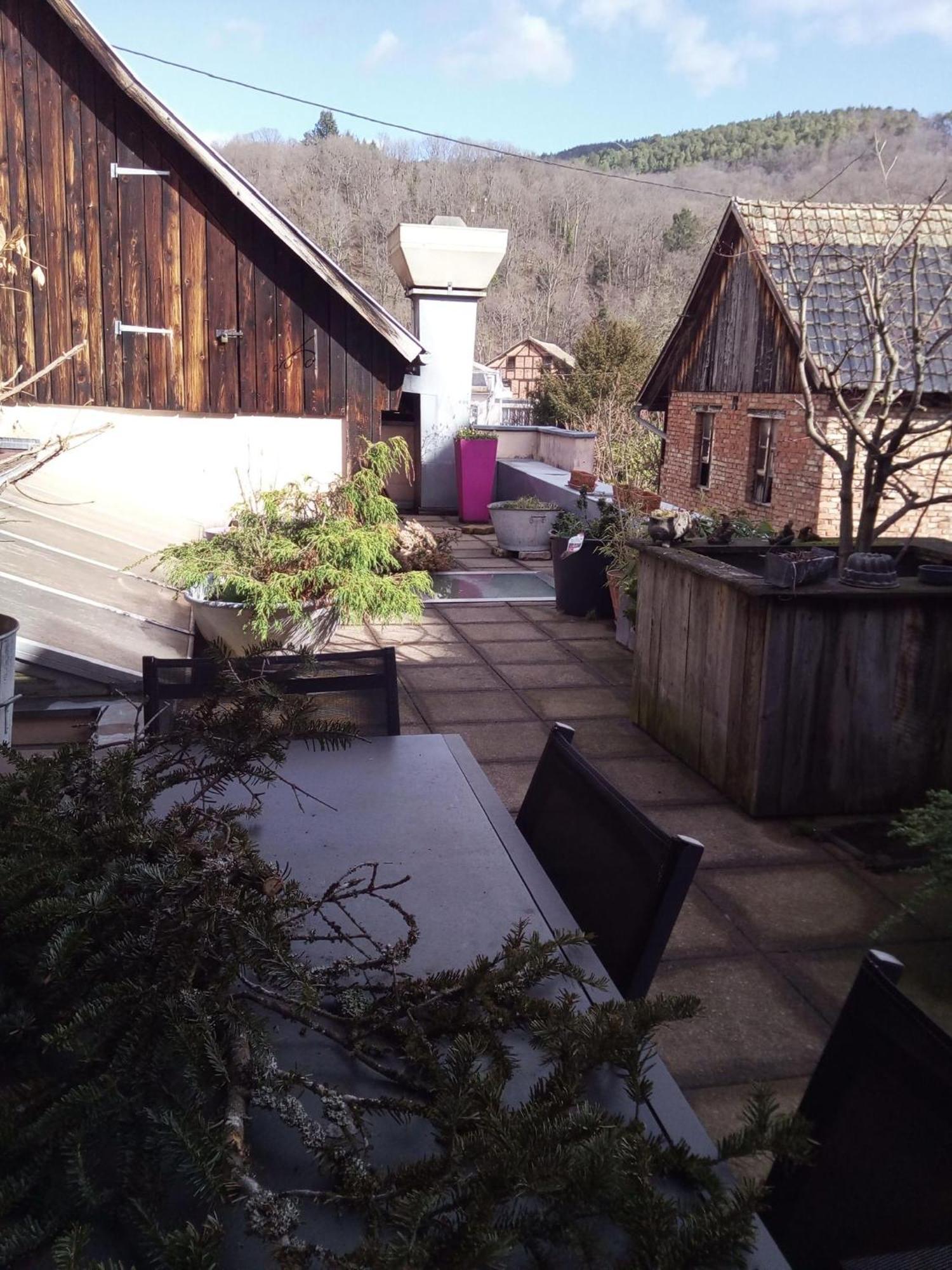 "Cote Nature", Appartement Cosy Au Coeur De Munster Munster  Exteriér fotografie
